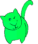 je suis le chat vert