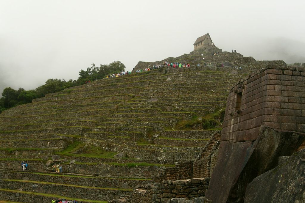 Terraces