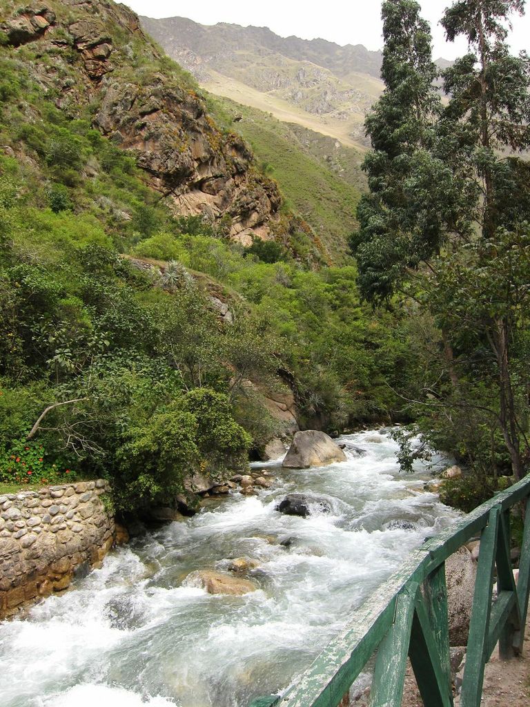 Rushing stream by lunch site